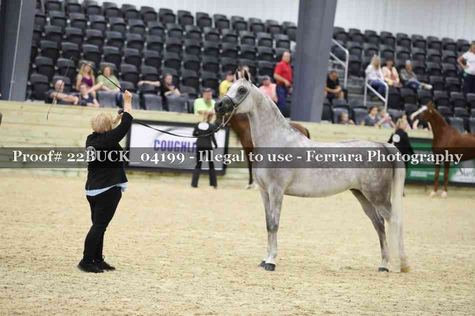 Proof 22BUCK_04199