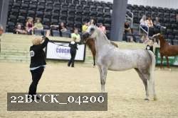 22BUCK_04200 proof