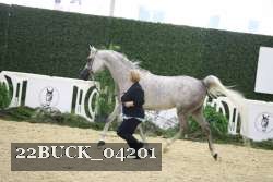 22BUCK_04201 proof
