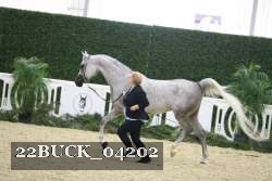 22BUCK_04202 proof