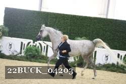22BUCK_04203 proof