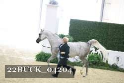 22BUCK_04204 proof