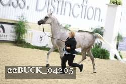 22BUCK_04205 proof