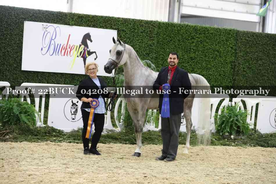 Proof 22BUCK_04208