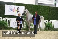 22BUCK_04208 proof