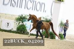 22BUCK_04209 proof
