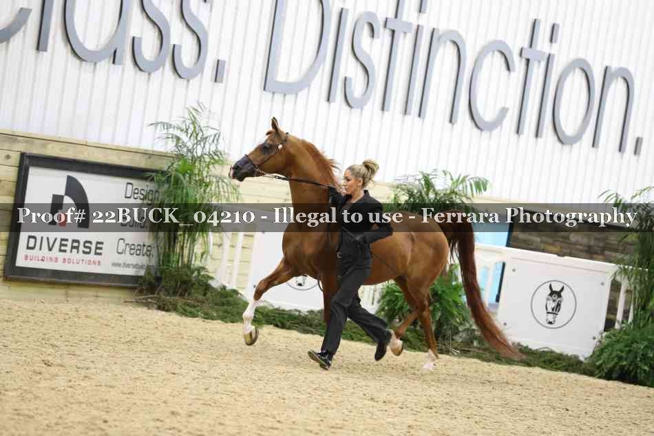 Proof 22BUCK_04210