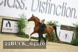 22BUCK_04210 proof