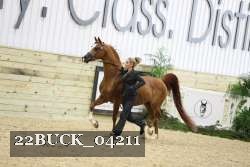 22BUCK_04211 proof