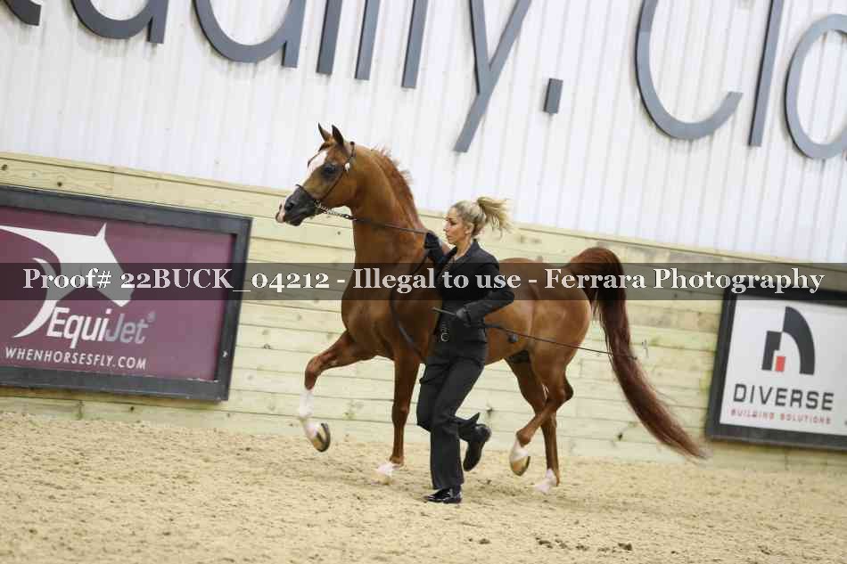 Proof 22BUCK_04212