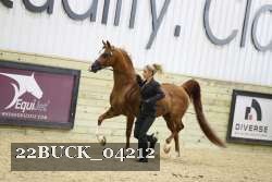 22BUCK_04212 proof
