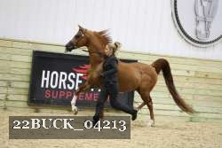22BUCK_04213 proof