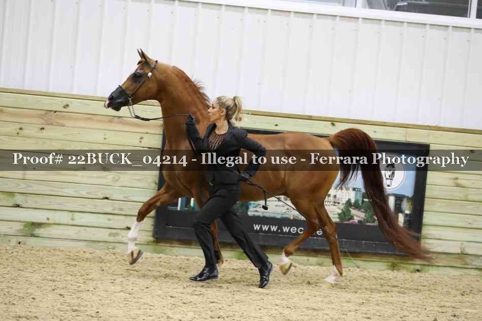 Proof 22BUCK_04214