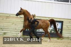 22BUCK_04214 proof