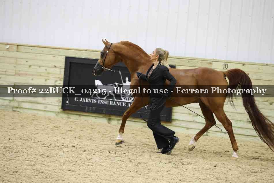 Proof 22BUCK_04215