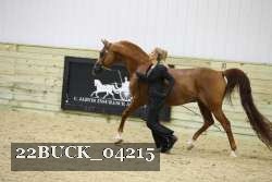 22BUCK_04215 proof