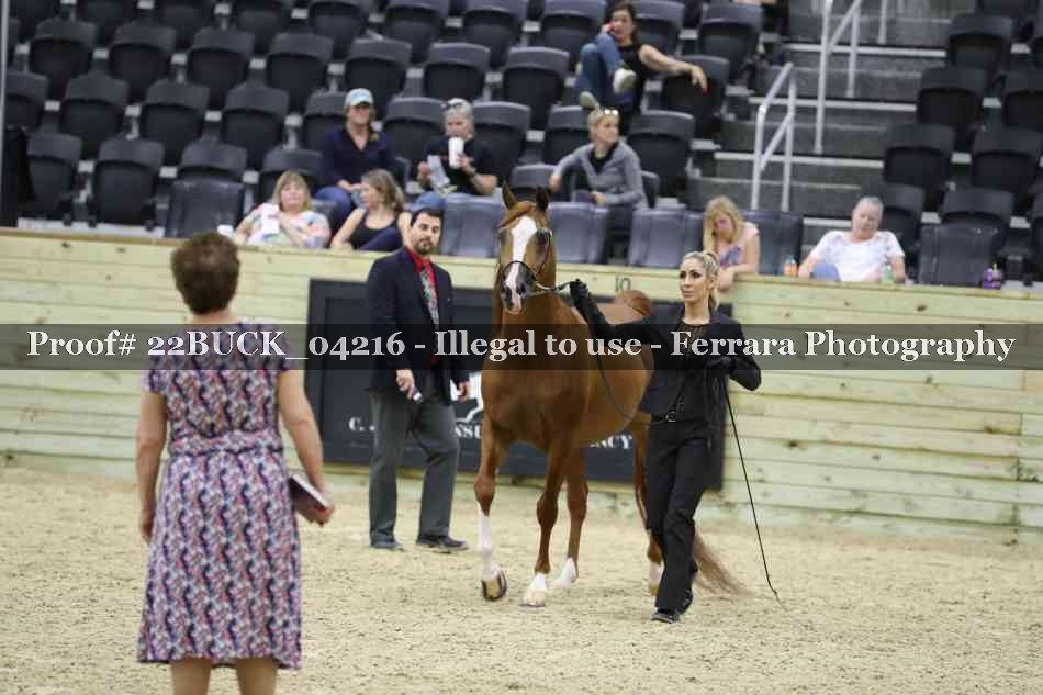 Proof 22BUCK_04216