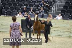 22BUCK_04216 proof