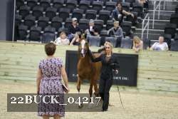 22BUCK_04217 proof
