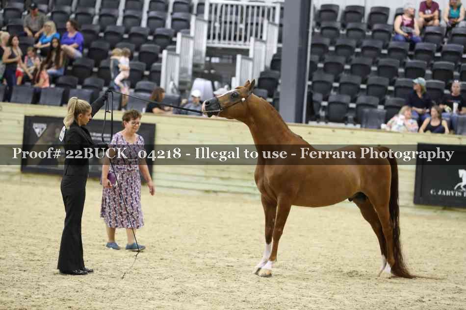 Proof 22BUCK_04218