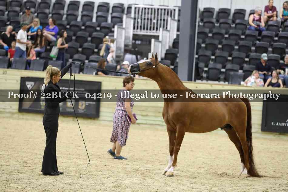 Proof 22BUCK_04219