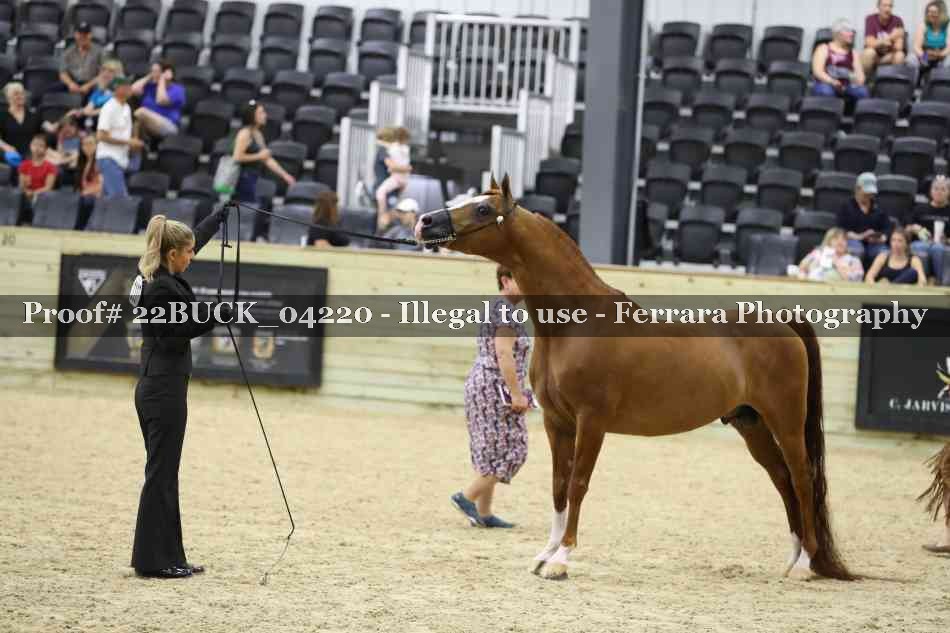 Proof 22BUCK_04220