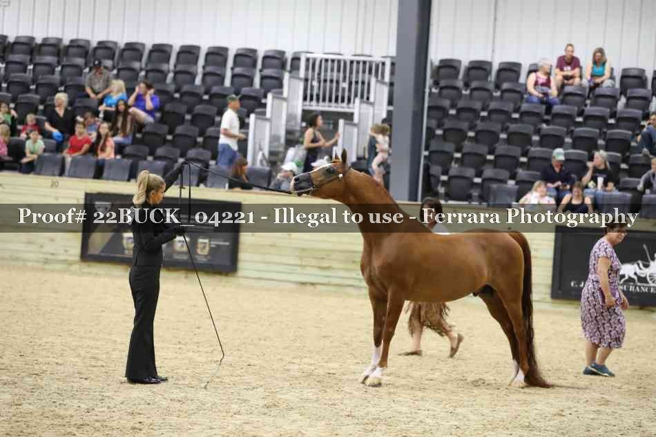 Proof 22BUCK_04221