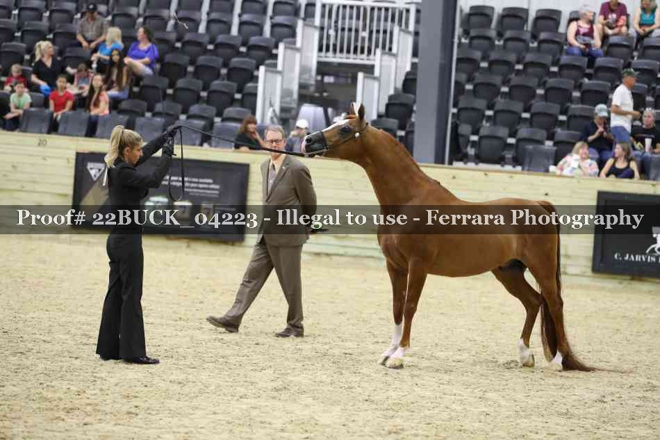 Proof 22BUCK_04223