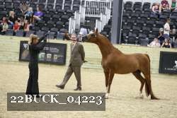 22BUCK_04223 proof