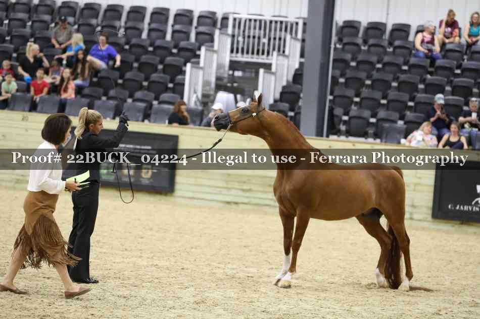 Proof 22BUCK_04224