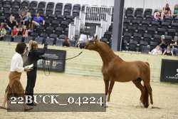 22BUCK_04224 proof