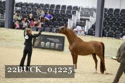 22BUCK_04225 proof