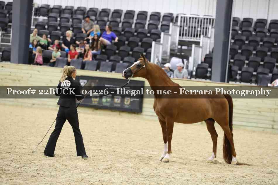 Proof 22BUCK_04226