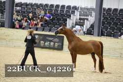 22BUCK_04226 proof