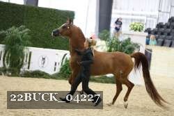 22BUCK_04227 proof