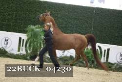 22BUCK_04230 proof