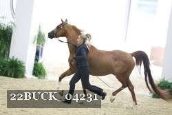 22BUCK_04231 proof