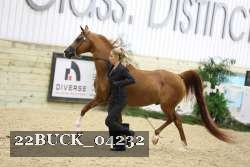 22BUCK_04232 proof