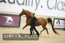 22BUCK_04233 proof