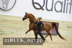 22BUCK_04234 proof