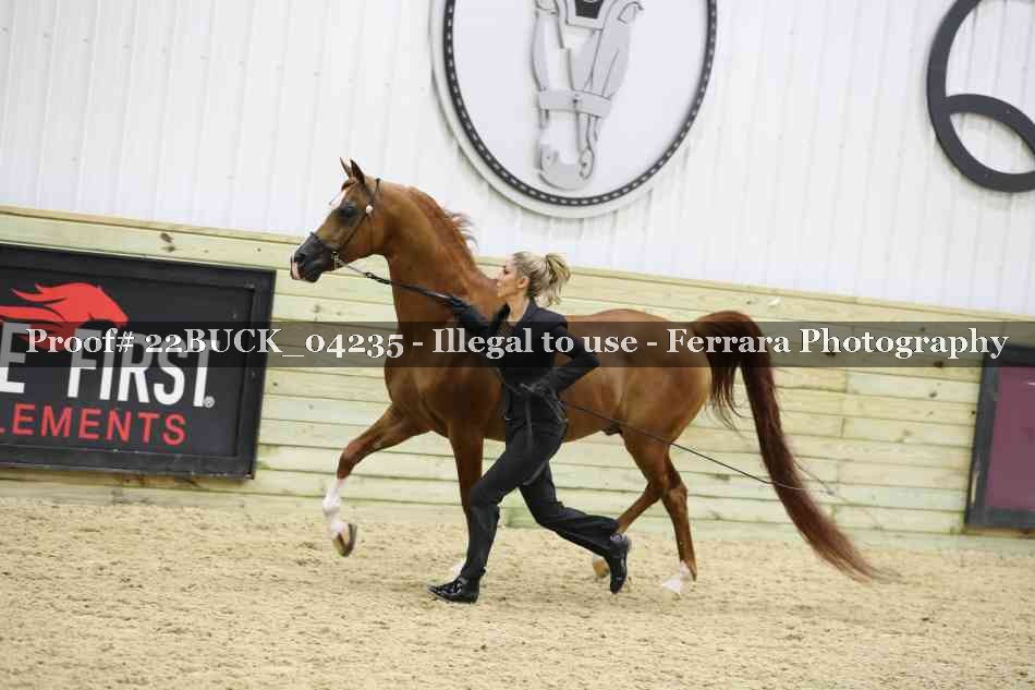Proof 22BUCK_04235
