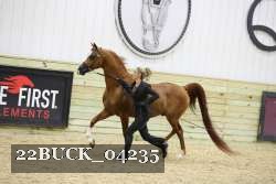 22BUCK_04235 proof