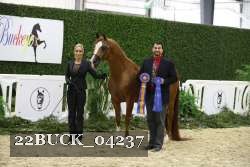22BUCK_04237 proof