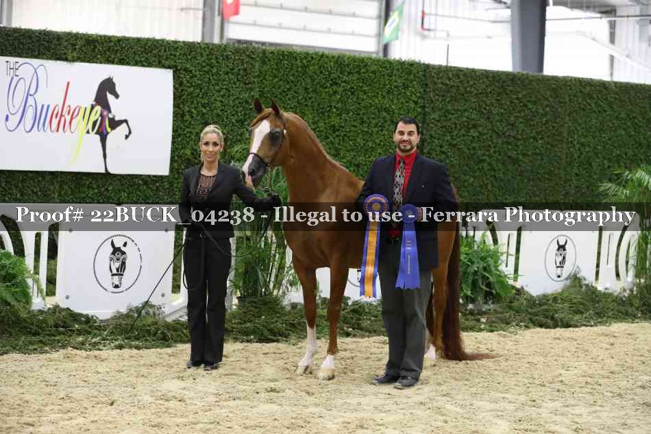 Proof 22BUCK_04238