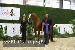 22BUCK_04238 proof