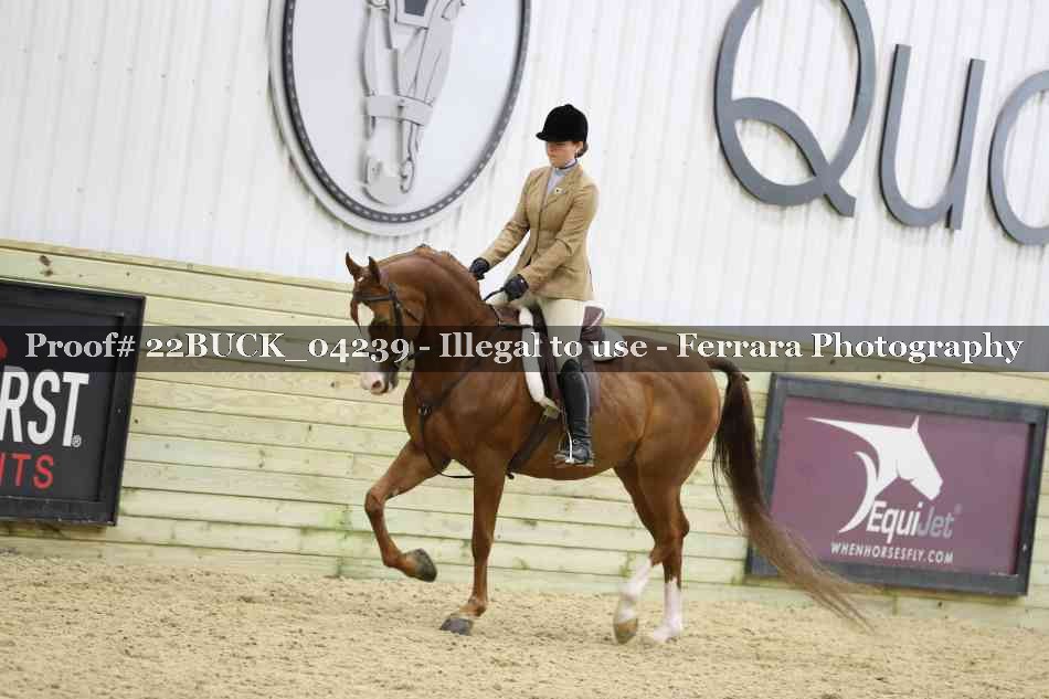 Proof 22BUCK_04239