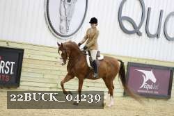 22BUCK_04239 proof
