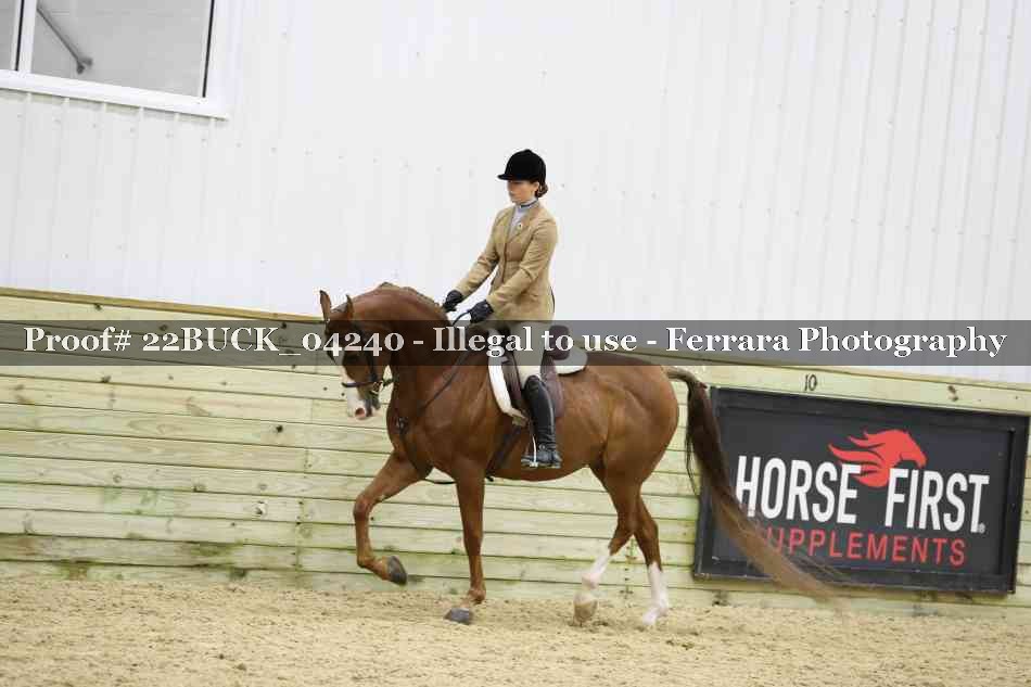 Proof 22BUCK_04240