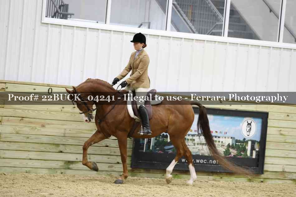 Proof 22BUCK_04241