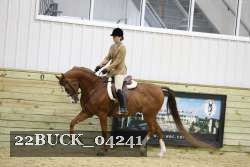 22BUCK_04241 proof